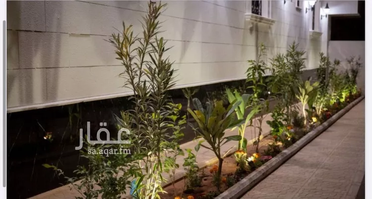 شقة للإيجار في شارع الظفير, حي النفل, مدينة الرياض, منطقة الرياض 6