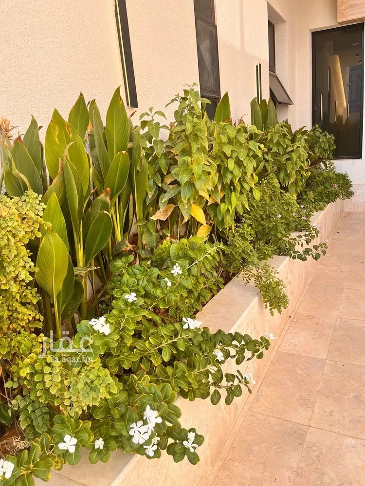 Apartment for Sale in Riyadh Al Mahdiyah 23