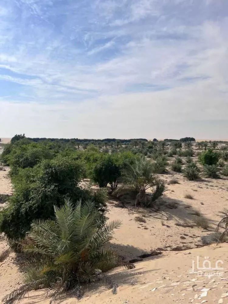 مزرعة للبيع في شارع طفيح, حي مزارع الطفيح, مدينة الجبيل, المنطقة الشرقية