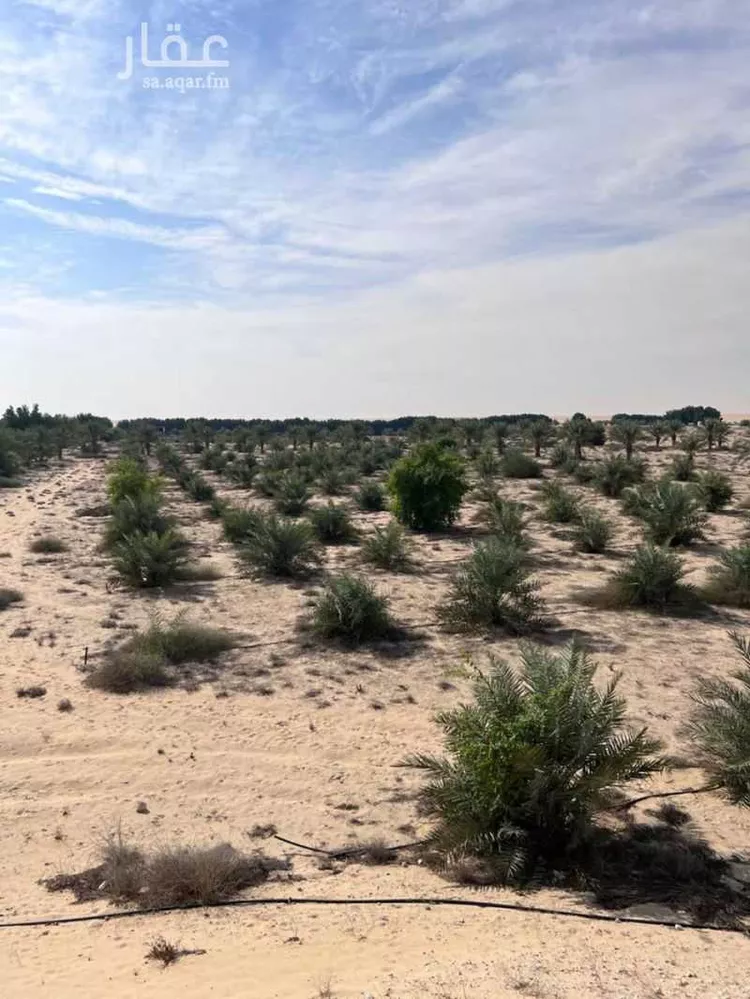 مزرعة للبيع في شارع طفيح, حي مزارع الطفيح, مدينة الجبيل, المنطقة الشرقية صورة 3