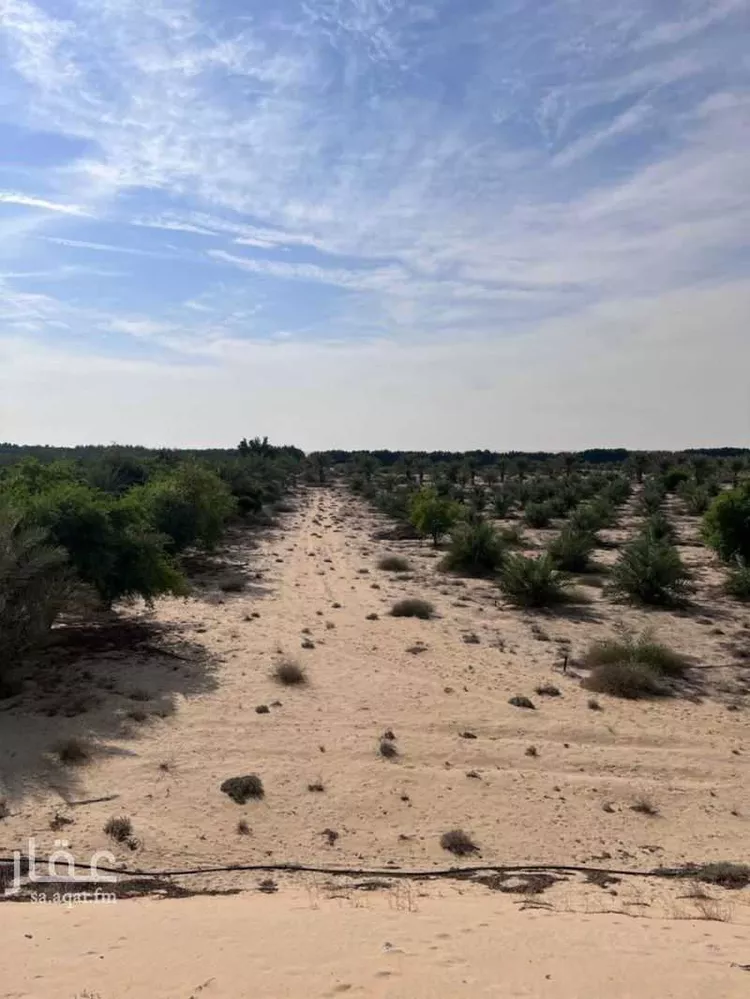 مزرعة للبيع في شارع طفيح, حي مزارع الطفيح, مدينة الجبيل, المنطقة الشرقية صورة 2