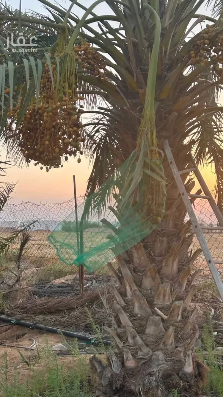 Farm for Sale in Buraydah Ash Shiqah