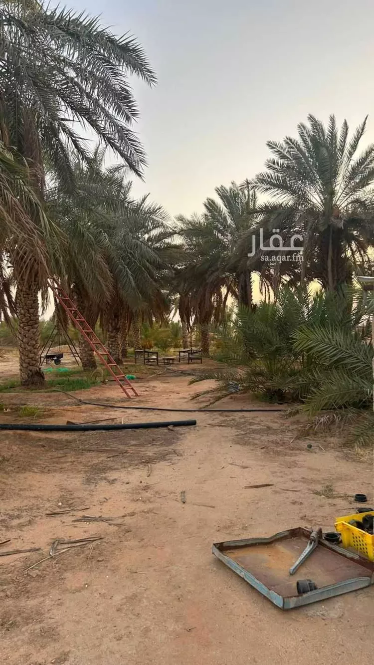 مزرعة للبيع في شارع الشقة 526, حي المليداء, مدينة بريدة, منطقة القصيم صورة 2