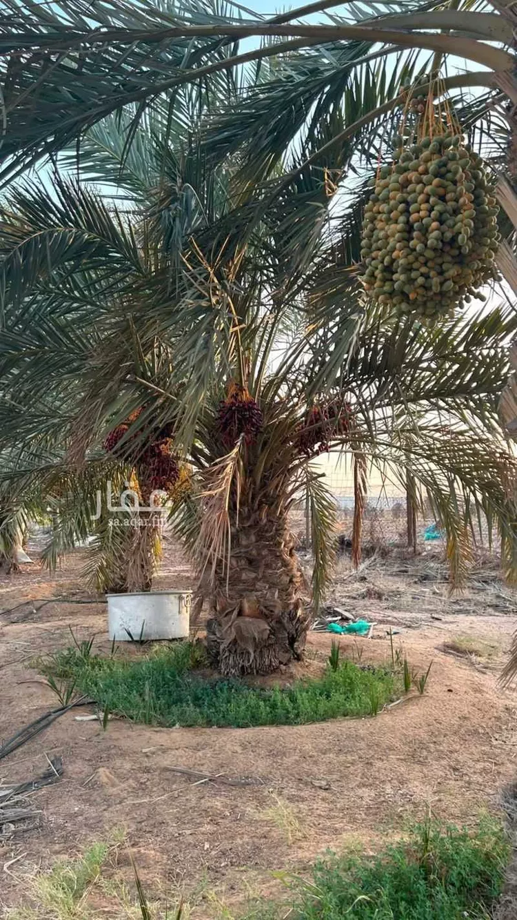 Farm for Sale in Buraydah Ash Shiqah