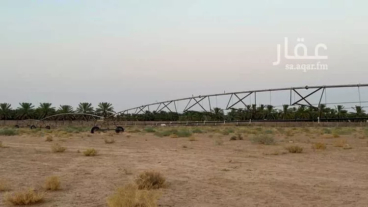 مزرعة للبيع في شارع الشقة 526, حي المليداء, مدينة بريدة, منطقة القصيم صورة 5