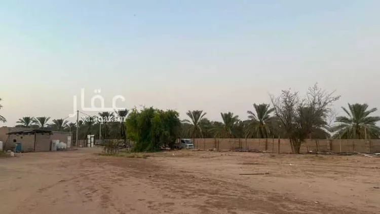 مزرعة للبيع في شارع الشقة 526, حي المليداء, مدينة بريدة, منطقة القصيم 6