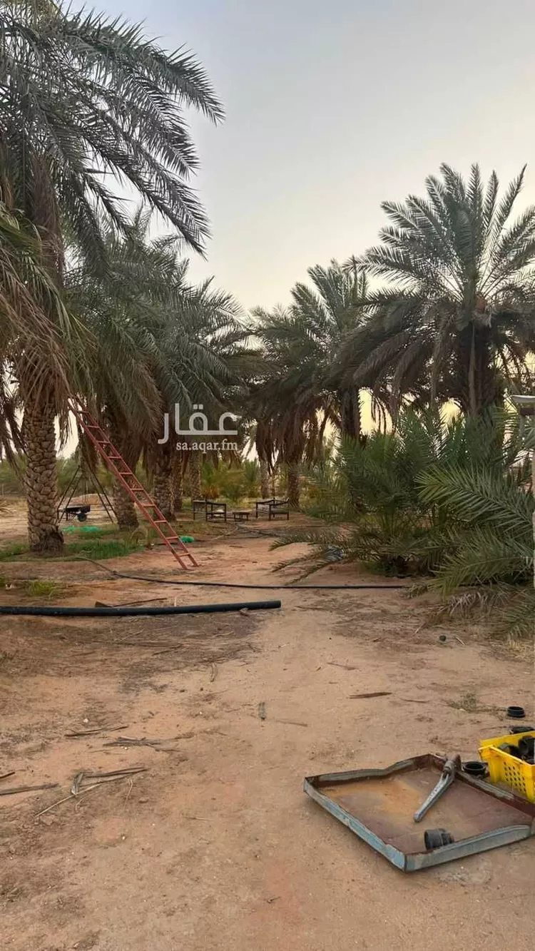 Farm for Sale in Buraydah Ash Shiqah صورة 2