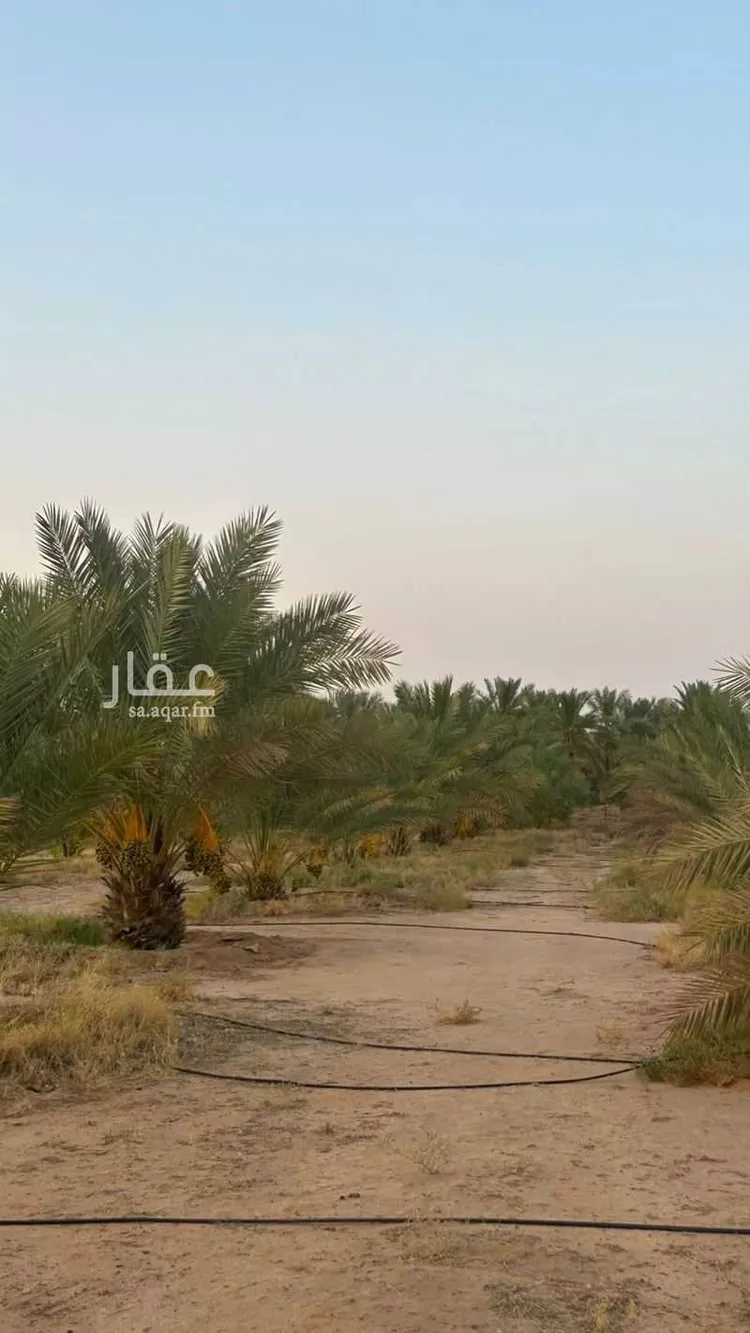 مزرعة للبيع في شارع الشقة 526, حي المليداء, مدينة بريدة, منطقة القصيم 6