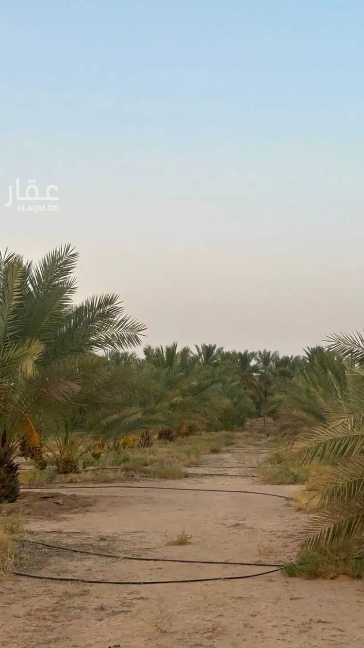 Farm for Sale in Buraydah Ash Shiqah صورة 4