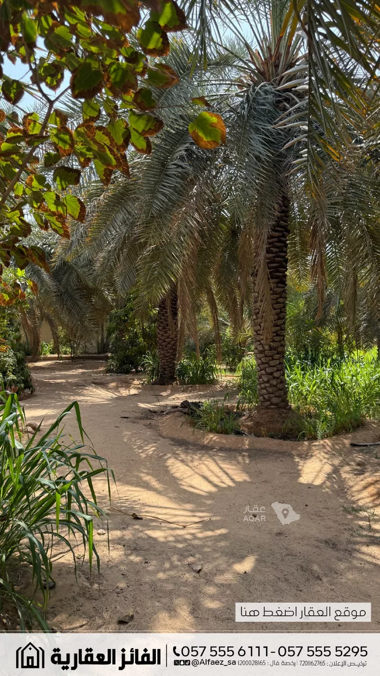 Rest House for Sale in Al Bukayriyah Al Qadisiyah 20