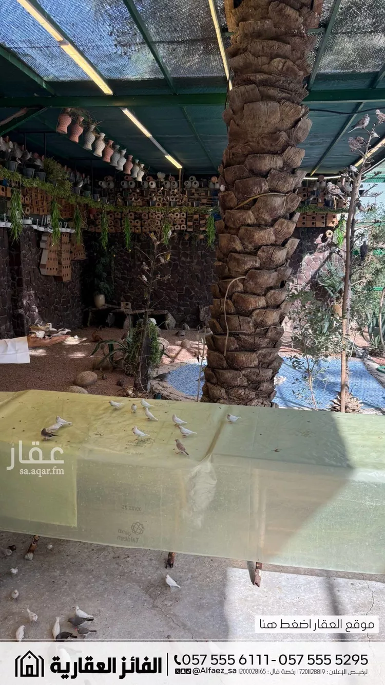 استراحة للبيع في شارع ذات السلاسل, حي القدس, مدينة رياض الخبراء, منطقة القصيم 19