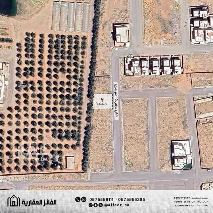 أرض للبيع في شارع 0000, حي البديعة, مدينة البكيرية, منطقة القصيم صورة 2