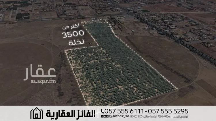 مزرعة للبيع في شارع طريق الأمير نايف بن عبدالعزيز, حي الربيع, مدينة البكيرية, منطقة القصيم 6