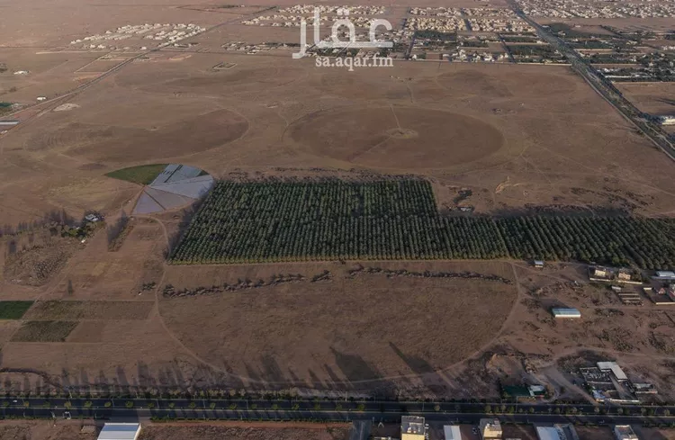 مزرعة للبيع في شارع طريق الأمير نايف بن عبدالعزيز, حي الربيع, مدينة البكيرية, منطقة القصيم 10
