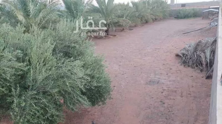 استراحة للبيع في شارع مخطط ام القلبان 223, حي مخطط  زراعي رقم ( 115), مدينة مخطط ام القلبان, منطقة حائل صورة 5