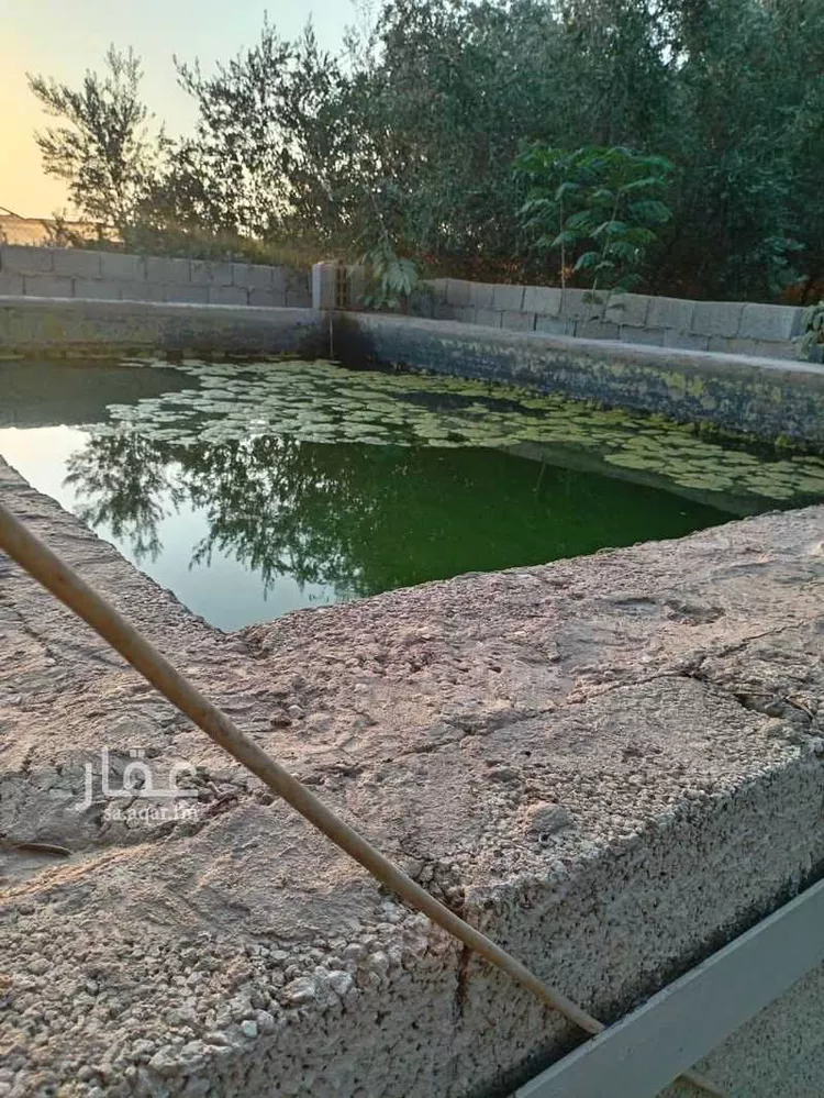 مزرعة للبيع في شارع العماريه 419, مدينة مخطط استراحات العماريه, منطقة الرياض 7