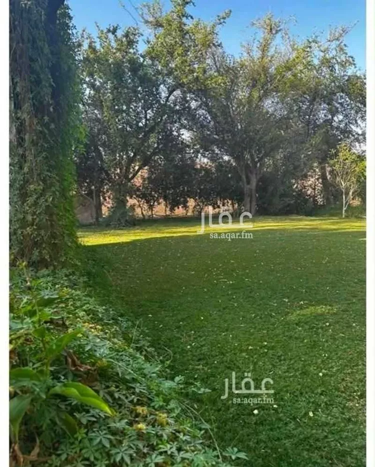 مزرعة للبيع في شارع العماريه 419, مدينة مخطط استراحات العماريه, منطقة الرياض صورة 5