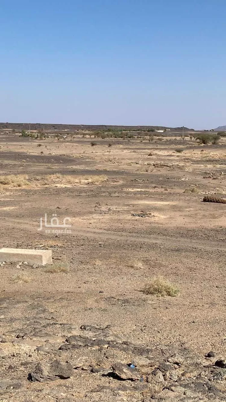 أرض للبيع في شارع  12, حي الصويدرة, مدينة المدينة المنورة, منطقة المدينة المنورة صورة 4