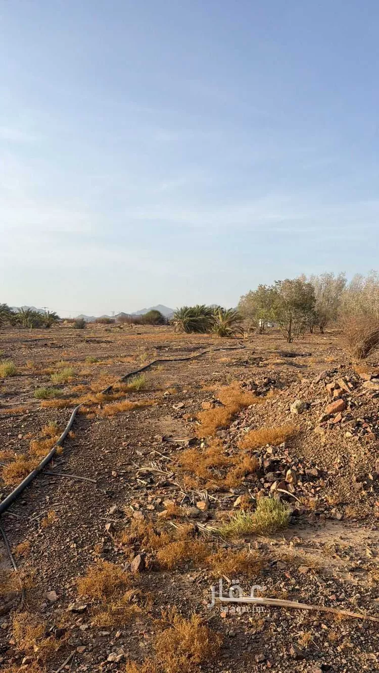 Farm for rent in Medina Al Matar 6