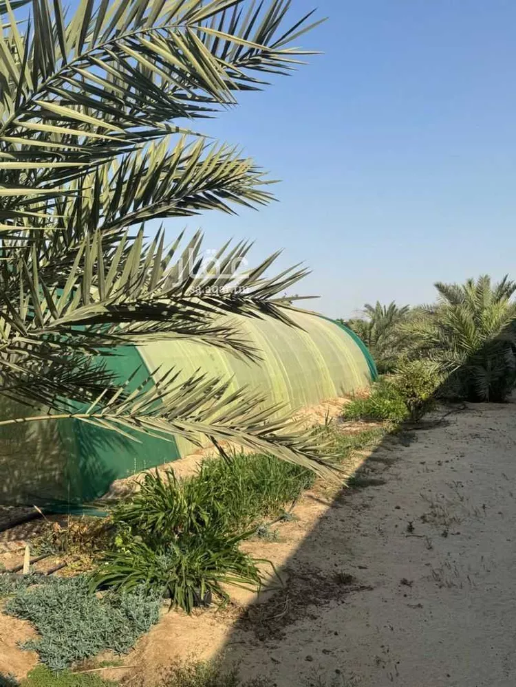 مزرعة للبيع في شارع رأس تنورة 1385, مدينة الجبيل, المنطقة الشرقية صورة 2