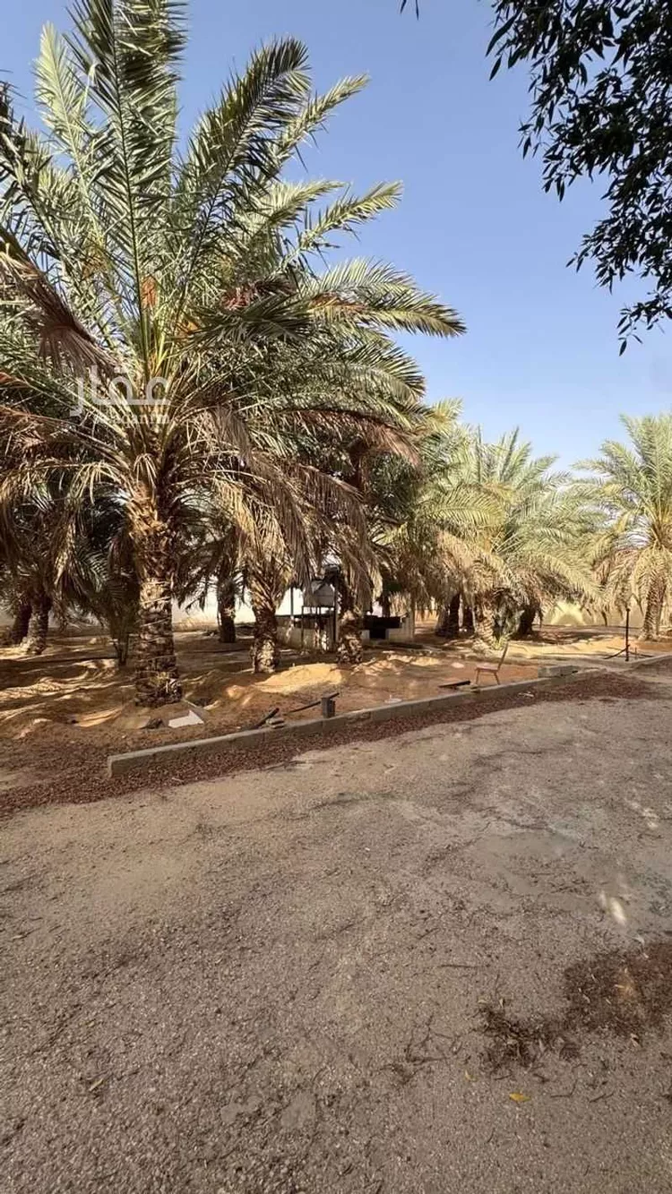 استراحة للبيع في شارع مسعود بن سويد, حي وسيلة, مدينة المزاحمية, منطقة الرياض 11