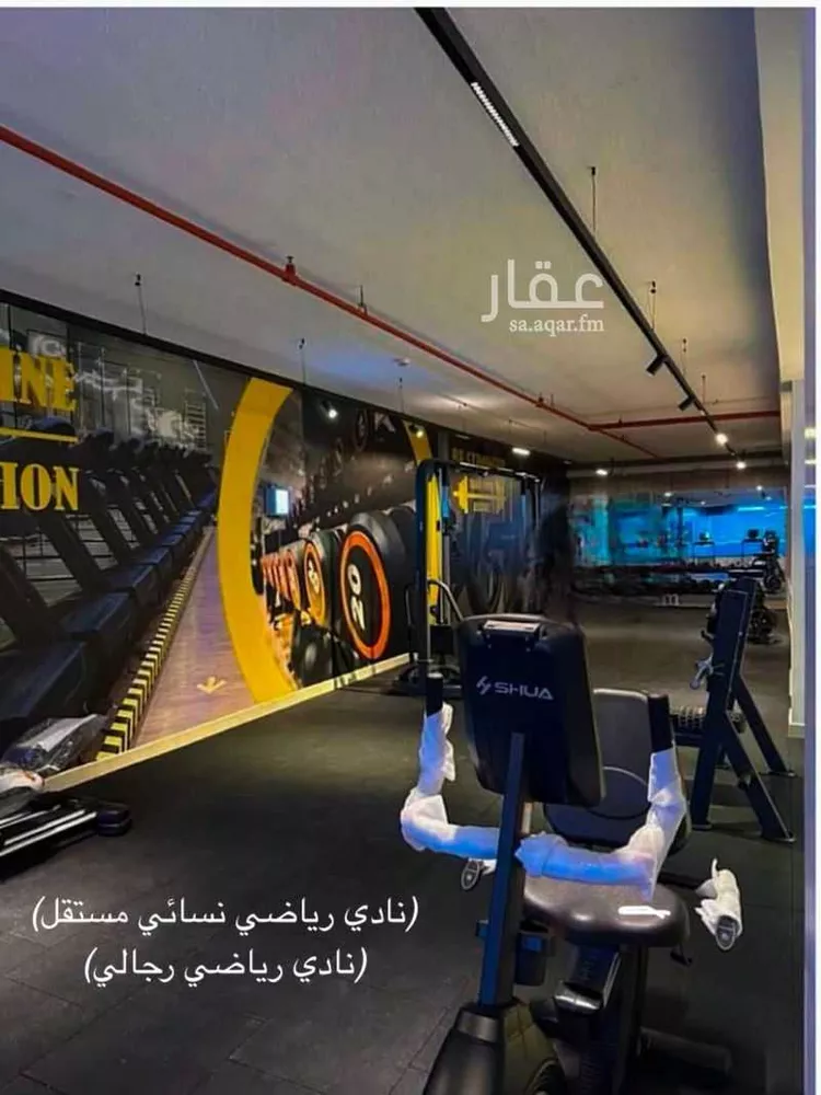 شقة للإيجار في شارع جعفر بن أبي بكر لبني, حي الرمال, مدينة الرياض, منطقة الرياض 15