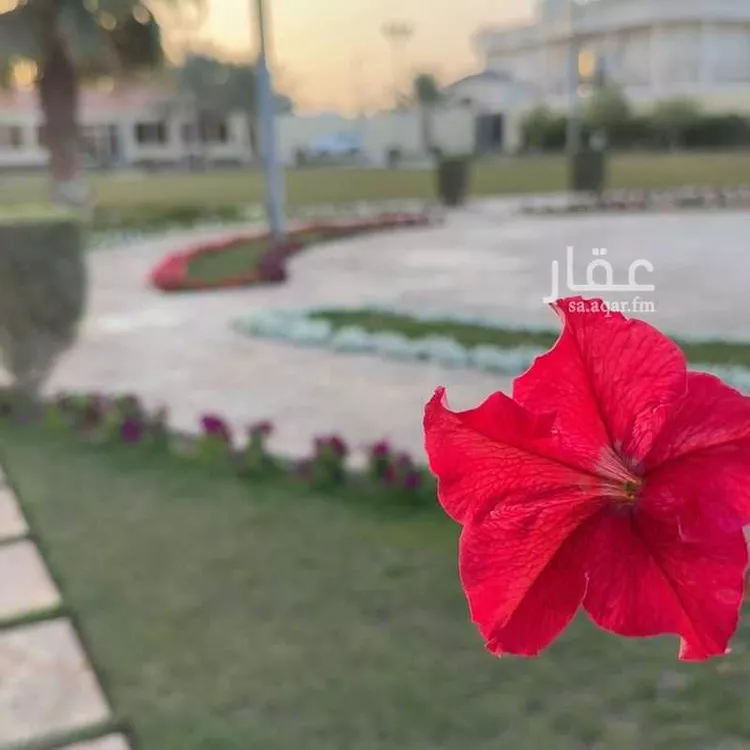 استراحة للبيع في شارع ممر258, حي الرمال, مدينة الرياض, منطقة الرياض صورة 4