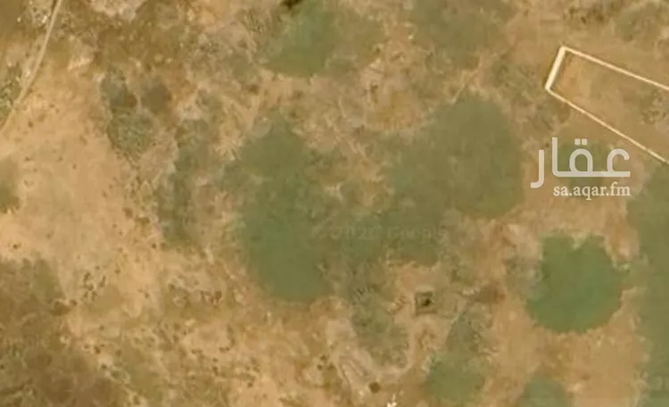 أرض للبيع في شارع العام, مدينة القحمه, منطقة عسير صورة 2