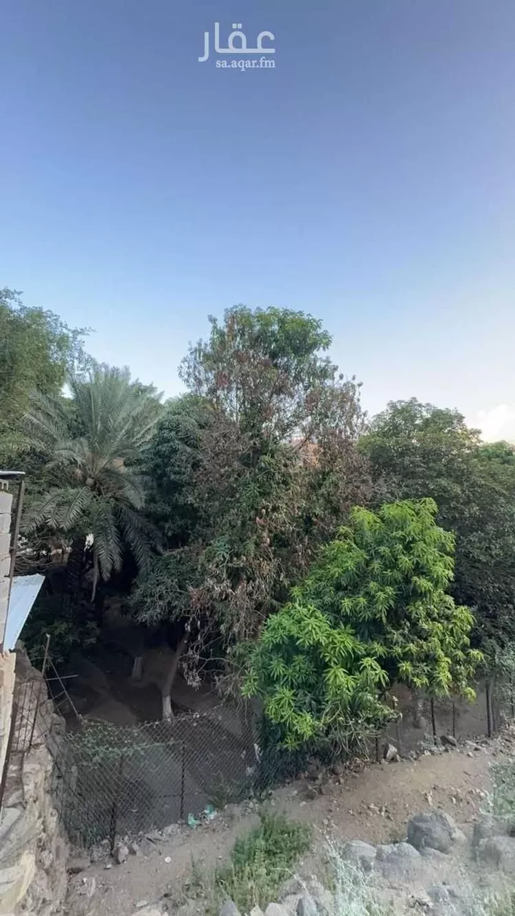 مزرعة للبيع في شارع الشارع العام المؤدي لحي الفرشة, حي اهل البلاد, مدينة اهل البلاد, منطقة عسير صورة 3