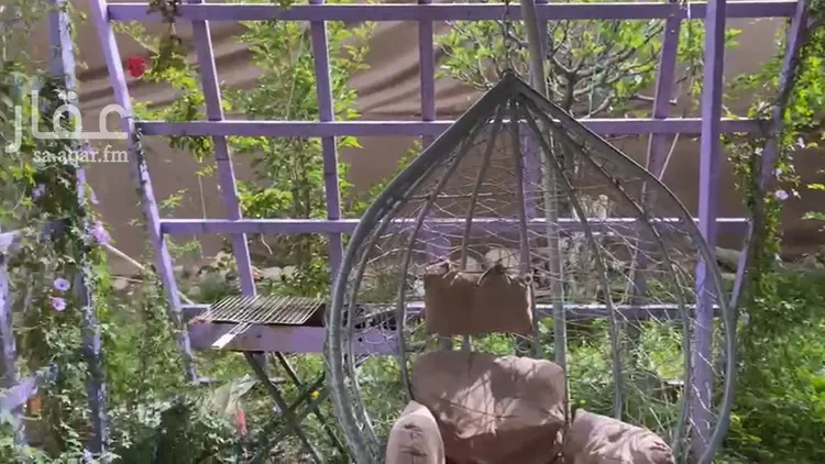 أرض للإيجار في شارع العام, حي الشرقية, مدينة أبها, منطقة عسير صورة 4