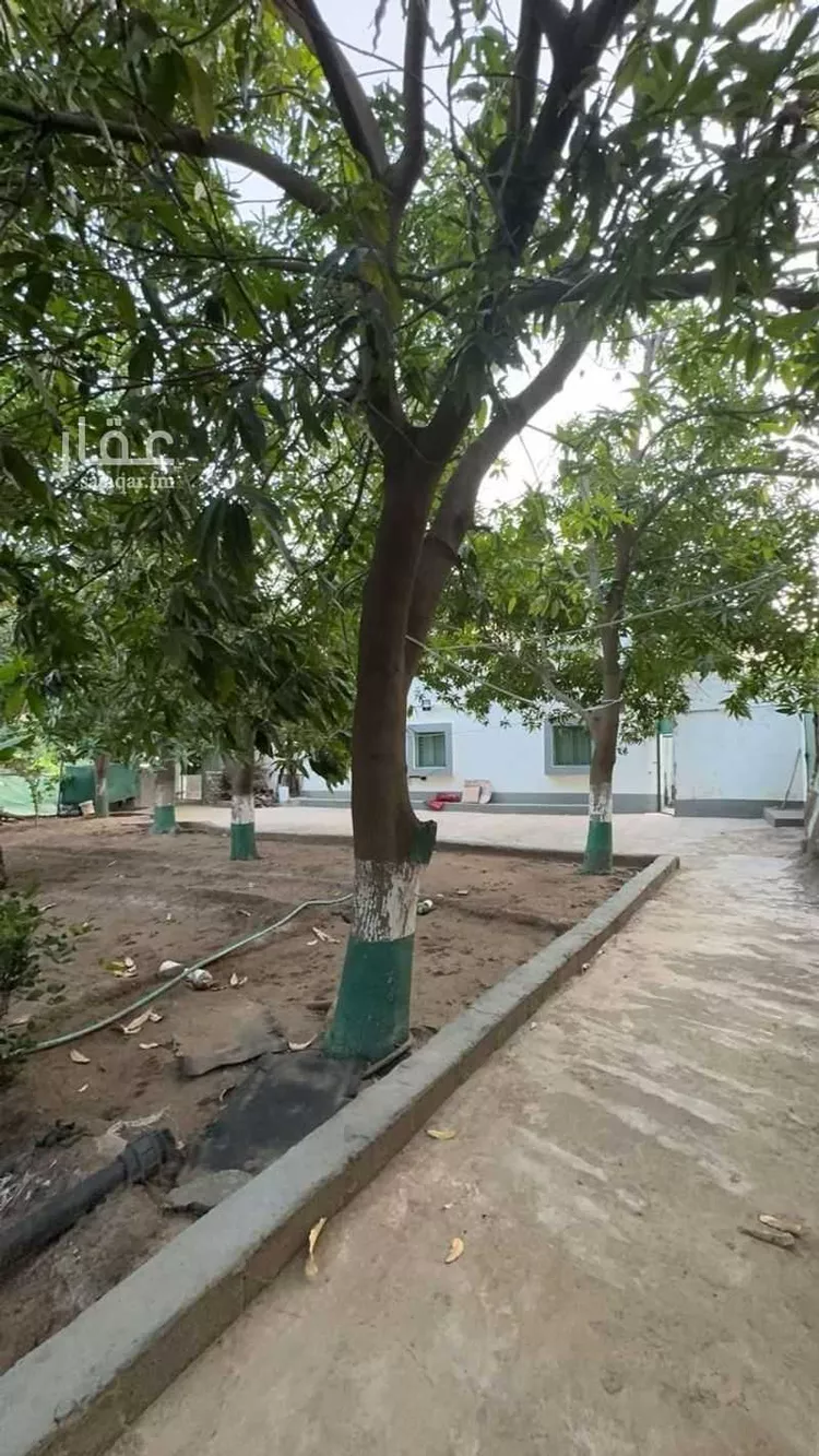 مزرعة للبيع في شارع الشارع العام المؤدي لحي الفرشة, حي اهل البلاد, مدينة اهل البلاد, منطقة عسير