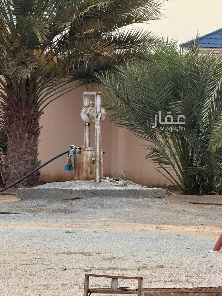 أرض للإيجار في شارع العام, حي قرية المهدي, مدينة بيشة, منطقة عسير صورة 2