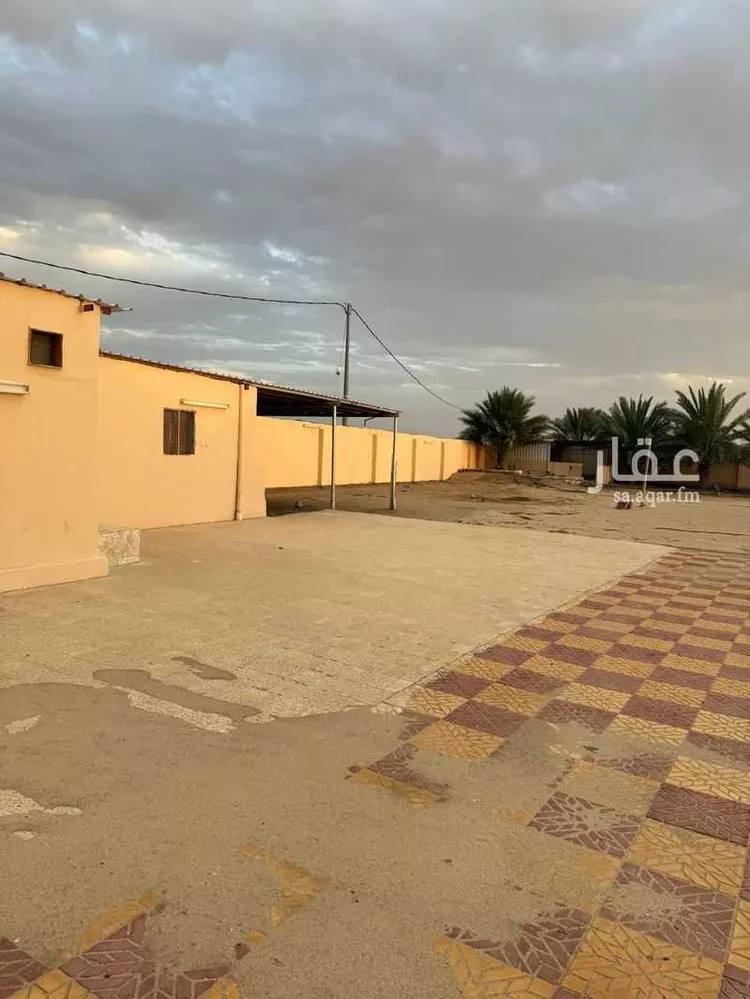 Land for Rent in Bisha An Nakheel 9