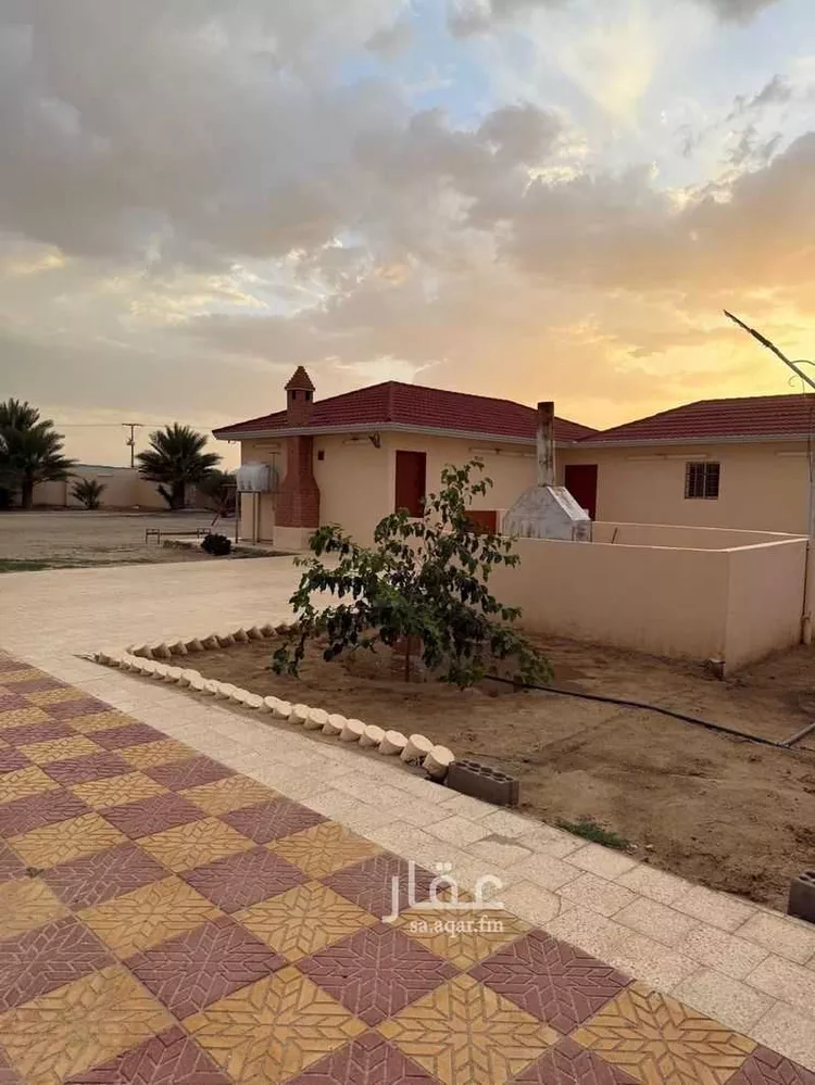 أرض للإيجار في شارع العام, حي قرية المهدي, مدينة بيشة, منطقة عسير صورة 3