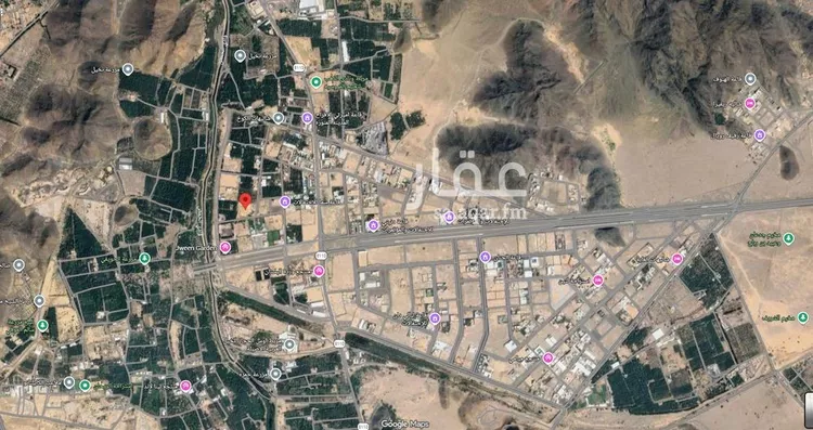 أرض للبيع في شارع معاذ بن الارقم, حي وادي الحمض, مدينة المدينة المنورة, منطقة المدينة المنورة صورة 3