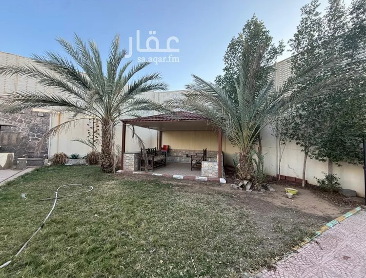 استراحة للإيجار في شارع سعيد بن واصل الحرشي, حي السد, مدينة المدينة المنورة, منطقة المدينة المنورة 8