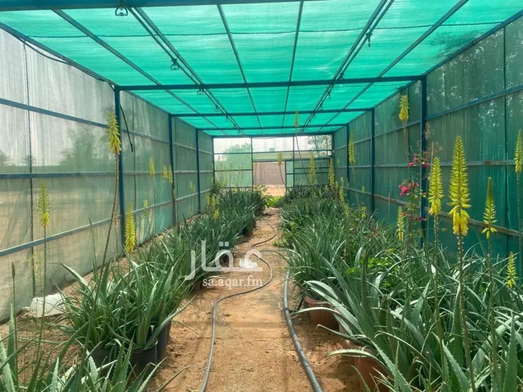 مزرعة للبيع في حي الحزيمية, مدينة المزاحمية, منطقة الرياض صورة 4