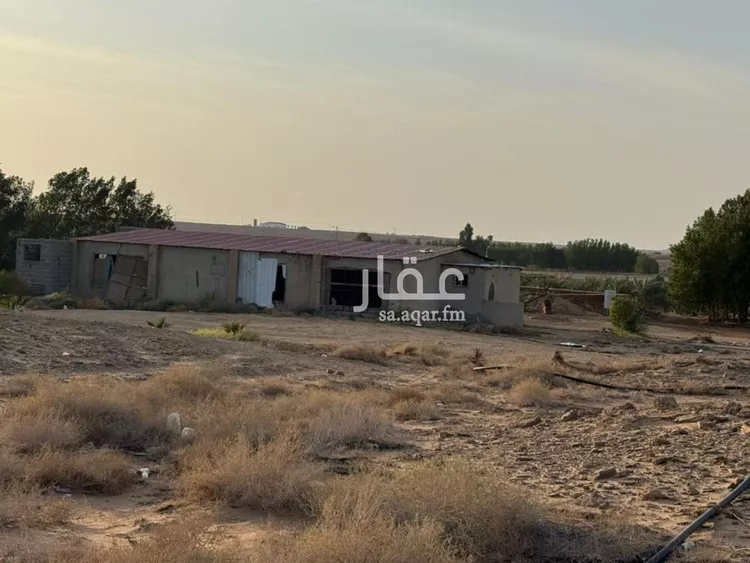 مزرعة للبيع في شارع بشري الجبرتي الشافعي, حي هجرة الزهوه والبيان, مدينة هجرة الزهوه والبيان, منطقة الرياض صورة 2