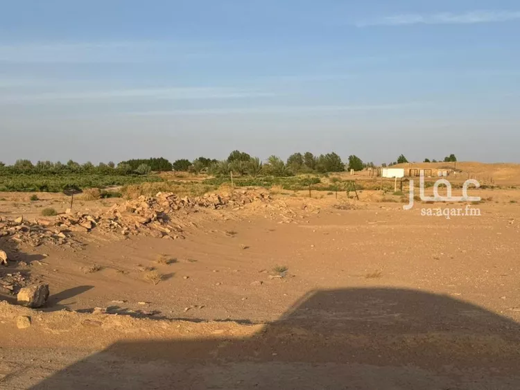 مزرعة للبيع في شارع بشري الجبرتي الشافعي, حي هجرة الزهوه والبيان, مدينة هجرة الزهوه والبيان, منطقة الرياض صورة 5
