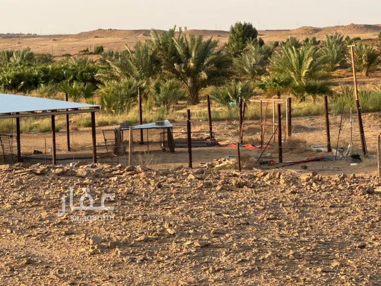 مزرعة للبيع في شارع بشري الجبرتي الشافعي, حي هجرة الزهوه والبيان, مدينة هجرة الزهوه والبيان, منطقة الرياض