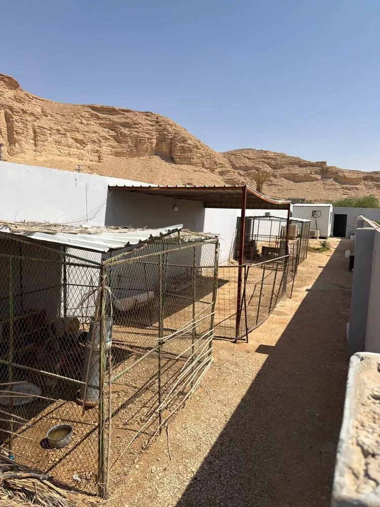 استراحة للبيع في شارع قصور ال مقبل 12, حي قصور ال مقبل, مدينة مزارع البطين ومزرعه دواجن, منطقة الرياض 20