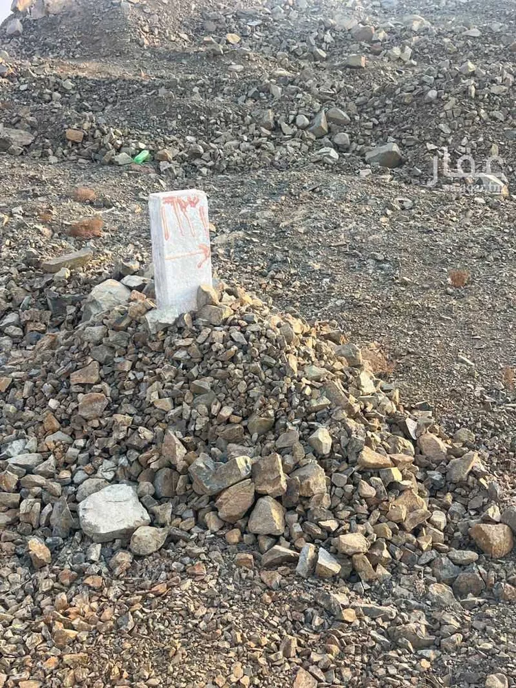 أرض للبيع في شارع أحمد بن علي القسطلاني, حي الرياض, مدينة جدة, منطقة مكة المكرمة صورة 3