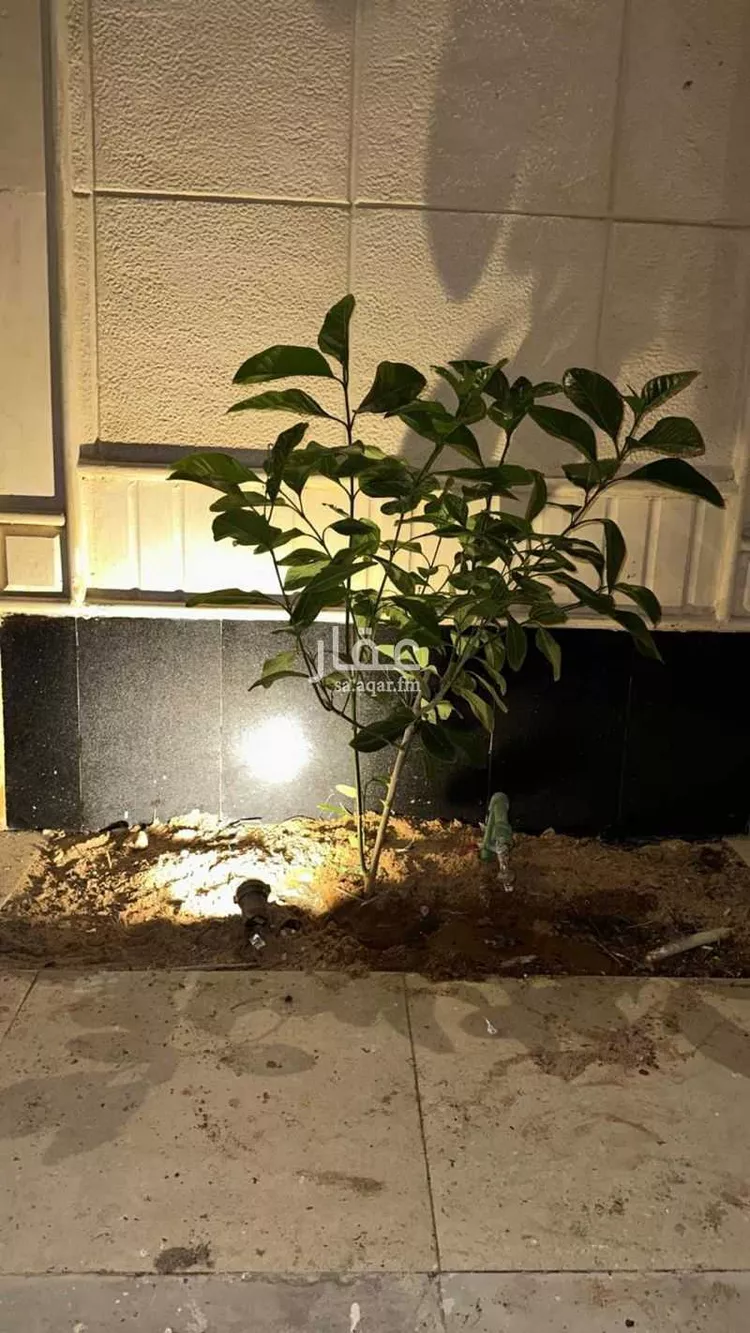 شقة للإيجار في شارع الشيخ إبراهيم بن محمد آل الشيخ, حي النرجس, مدينة الرياض, منطقة الرياض صورة 4