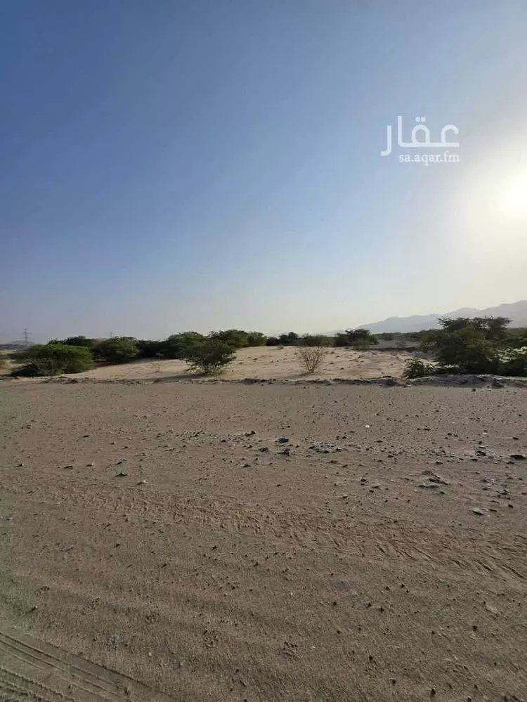 أرض للبيع في شارع الإسحل, حي شعب عامر , مدينة مكة المكرمة, منطقة مكة المكرمة صورة 5