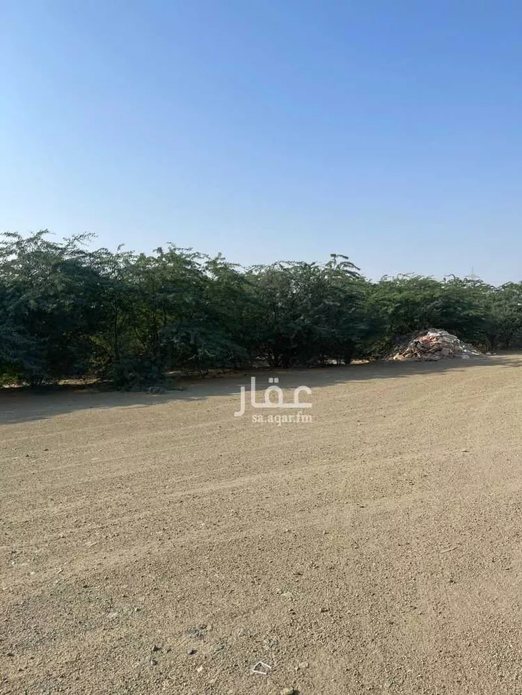 أرض للبيع في شارع العباب, حي شعب عامر , مدينة مكة المكرمة, منطقة مكة المكرمة صورة 3