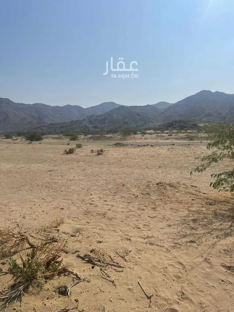 أرض للبيع في شارع السرح, حي شعب عامر , مدينة مكة المكرمة, منطقة مكة المكرمة صورة 3