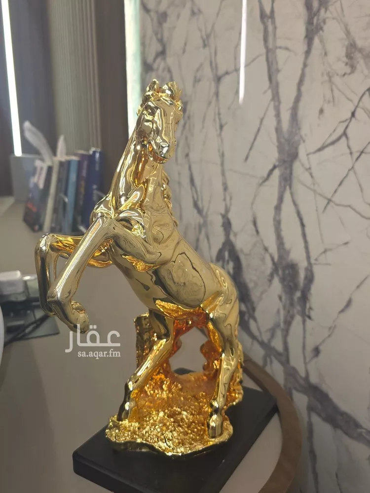 Land for Sale in Riyadh Al Malqa صورة 2