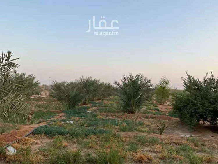 أرض للإيجار في شارع العشرين, مدينة البدائع, منطقة الرياض صورة 5