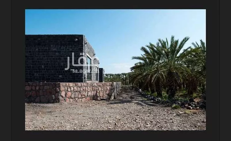 مزرعة للبيع في شارع ابار الماشي 356, حي ابيار الماشي, مدينة المدينه المنوره, منطقة المدينة المنورة صورة 5