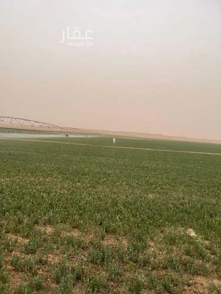 مزرعة للبيع في حي مزارع الشهيبيه, مدينة مزارع الشهيبيه, منطقة الرياض